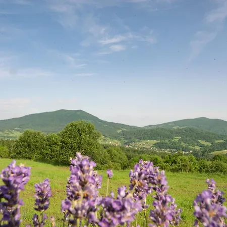Aurora Hill