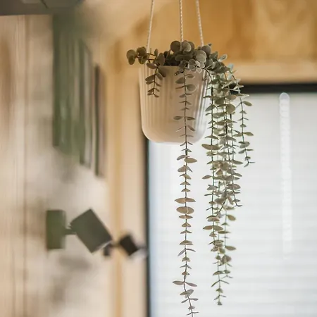 Aurora Hill 营地 *