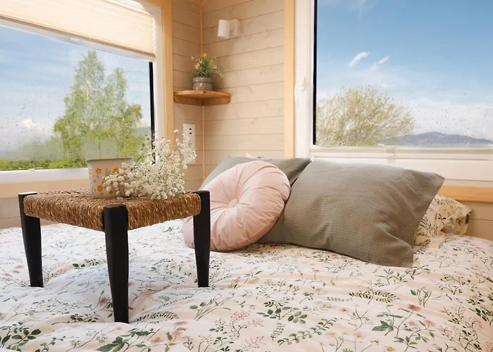 Aurora Hill Kemping Podobin